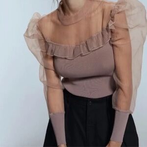 Zara Sheer Ruffle Blouse in Brown